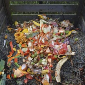 Radionica o kompostiranju