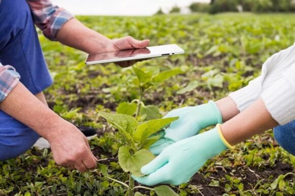 Informativna radionica u povodu objave natječaja za razvoj nepoljoprivredne djelatnosti Informativna radionica u povodu objave natječaja za razvoj nepoljoprivredne djelatnosti