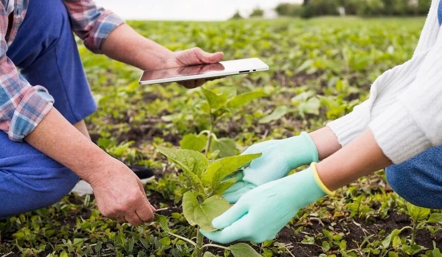 Informativna radionica u povodu objave natječaja za razvoj nepoljoprivredne djelatnosti