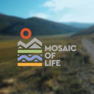 Poziv na sastanak suradničkog vijeća – Mosaic of LIFE