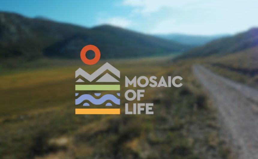 Poziv na sastanak suradničkog vijeća – Mosaic of LIFE Poziv na sastanak suradničkog vijeća – Mosaic of LIFE