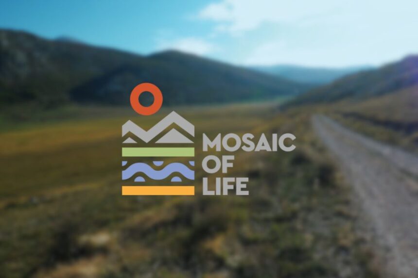 Poziv na sastanak suradničkog vijeća – Mosaic of LIFE