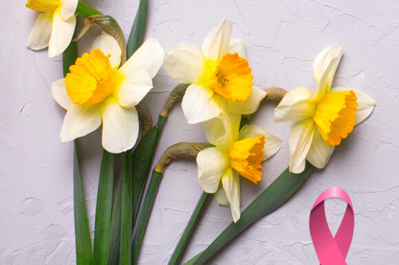 Dan narcisa – podsjetnik na važnost prevencije i brige o zdravlju Dan narcisa – podsjetnik na važnost prevencije i brige o zdravlju