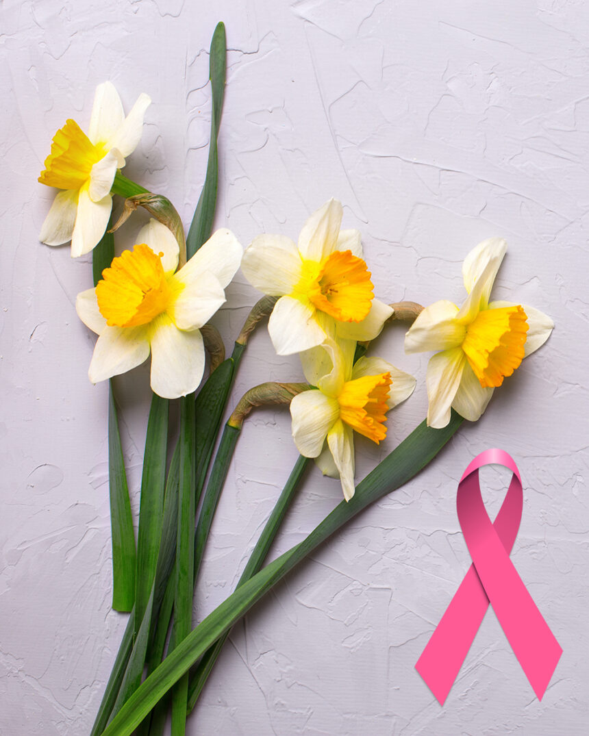 Dan narcisa – podsjetnik na važnost prevencije i brige o zdravlju