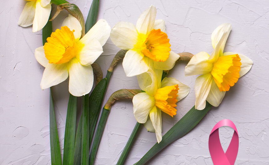 Dan narcisa – podsjetnik na važnost prevencije i brige o zdravlju Dan narcisa – podsjetnik na važnost prevencije i brige o zdravlju