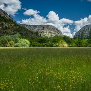 Nastavlja se edukativni ciklus „Stočarstvo koje čuva prirodu“ Nastavlja se edukativni ciklus „Stočarstvo koje čuva prirodu“