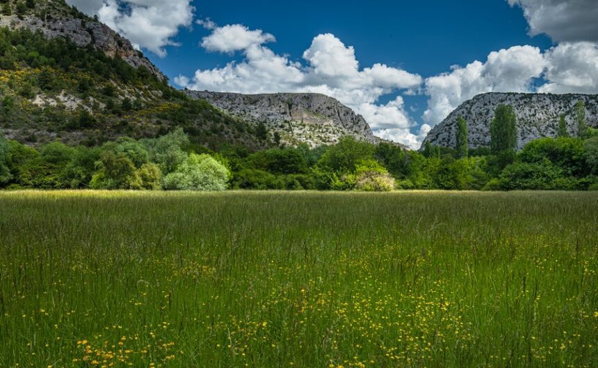 Nastavlja se edukativni ciklus „Stočarstvo koje čuva prirodu“