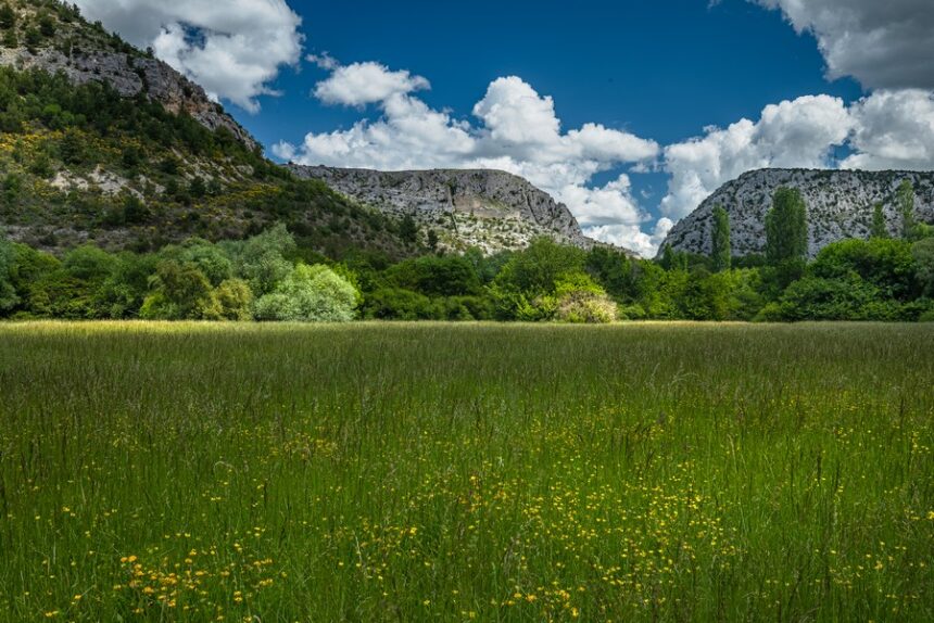 Nastavlja se edukativni ciklus „Stočarstvo koje čuva prirodu“